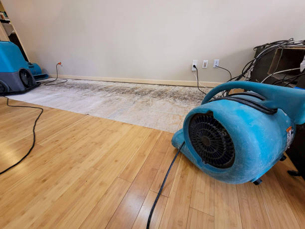 Professional Basement Flood Cleanup technician working in Aurora, NE